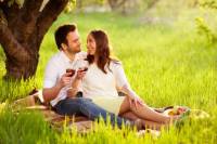 1 Day South Moravia Wine Tour From Brno