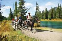 1 Hour Banff Horseback Riding Adventures