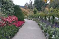 1-Hour Victoria City Tour and Butchart Gardens
