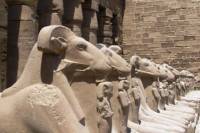 10-Day Sands and Sea Tour from Cairo