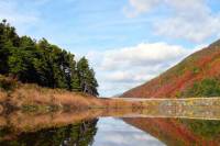 11-Day Excursion: Nova Scotia and Prince Edward Island: Music and Culture of Acadian People and the Maritimes