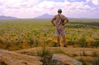 13-Day Kenya Safari: Meru and Aberdare National Parks, Samburu, Ol Pejeta and Solio Reserves and Masai Mara