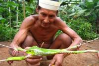 15-Day Expedition to the Matses Indigenous Territory