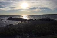 Private Mansion and Newport Rhode Island City Tour