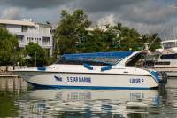 Phi Phi Island Private Boat Tour