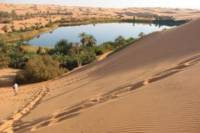 2-Day Baharia oasis safari tour from Cairo