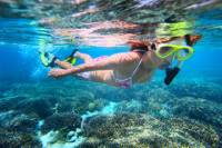 2-Day Best of Cairns and the Great Barrier Reef