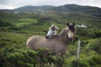 2-Day Connemara and Galway Bay Tour from Dublin by Train