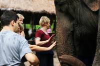 2-Day Elephant Experience from Chiang Mai