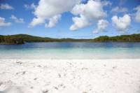 2-Day Fraser Island Lake McKenzie Self-Guided Hike from Hervey Bay