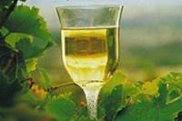 2-Day Margaret River Wine Experience Tour from Perth