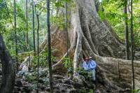 2-Day Nam Cat Tien National Park from Ho Chi Minh City