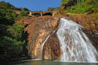 2-Day Private Tour from Goa: Jungle Adventure in Mollem National Park Including Dudhsagar Falls and Jeep Safari