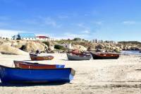2-Day West Coast Highlights Trip and optional Skydive from Cape Town