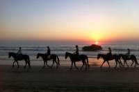 2 Hour Agadir Horse Riding