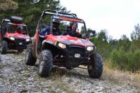 2 Hour Buggy Tour in Vic