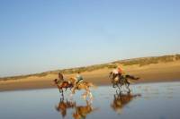 2 hour horse ride on the Beach in Essaouira
