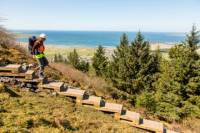 2-Hour Surf Lesson and Guided Walking Tour of Coolera Peninusla from Strandhill Village