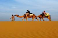 2-Night Jaisalmer Private Tour from Jodhpur including Camel Ride