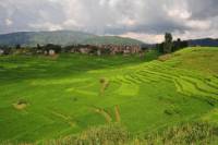 2-Night Nepal Farmstay Experience from Kathmandu