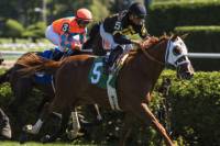 2- or 3-Day Saratoga Springs Tour with a Day at the Saratoga Race Course