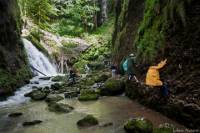 3-Day Apuseni Natural Park Private Tour from Timisoara