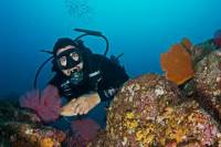 3-Day Cabo San Lucas Diving Package