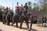 3-Day Central Highlands and Buon Ma Thuot Tour Including Flight from Hanoi