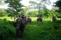 3-Day Chitwan Wildlife Safari Tour from Kathmandu