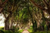3-Day Northern Ireland Tour from Dublin