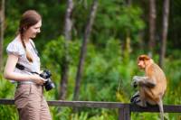 3-Day Tour from Sabah: Sandakan Sightseeing and Wildlife Experience in Sepilok and Selingan