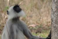 3-Day Wayanad Tour from Bangalore