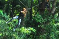 3-Hour Zip Line Jungle Adventure from Phuket