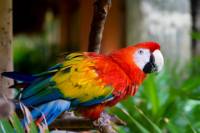 3-Night Ecuadorian Amazon Tour from Quito with Accommodation at the Yachana Lodge