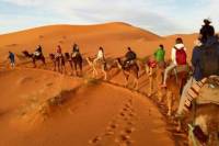 3-Night Marrakech to Fez Sahara Explorer Tour