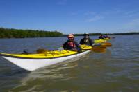 3- or 4-Day Everglades Kayaking and Camping Tour
