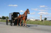 4-Day Amish Experience from New Hampshire