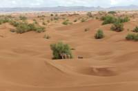 4 Day Desert and Draa Valley Day Trip From Mhamid