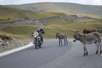 4-Day Motorcycle Adventure Ride through Transylvania from Cluj