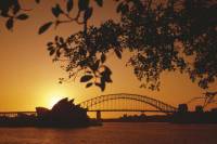 4-Day Sydney Tour: City Sightseeing, Sydney Harbour Cruise and the Blue Mountains