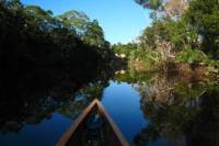 4-Day Trip: Cuyabeno Amazon Experience