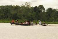 4-Day Wildlife Tour at Tamshiyacu Reserve