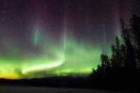 4-Day Yukon's Best Value Aurora Viewing Tour
