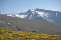 4WD Sierra Nevada Safari Private Tour in Granada