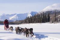 5-Day Active Winter Adventure in Yukon