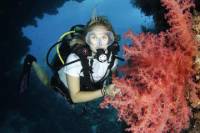 5 Day Dive Pack for Certified Divers
