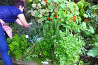 5 Day French Cooking Course in Normandy