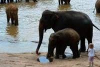 5-Day Sri Lanka Classic Tour