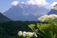 5-Day Tour from Munich to Frankfurt: Rothenburg, Augsburg, Zugspitze