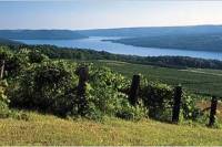 Keuka Lake Winery Tour